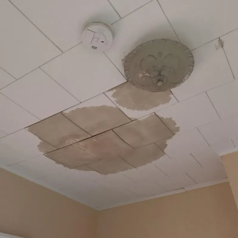 Ceiling Water Damage Repair in Shannon Hills, AR