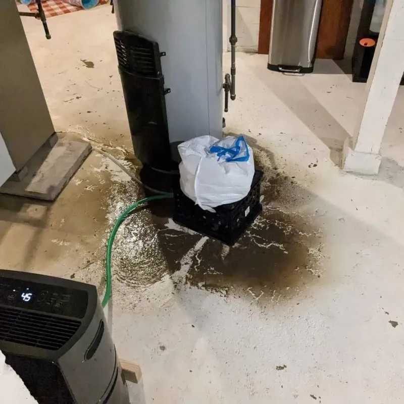 Sewage Backup Cleanup Service in Shannon Hills, AR